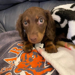 Meet your Posher, Carla